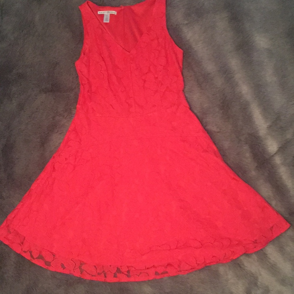 Maggy London orange lace dress